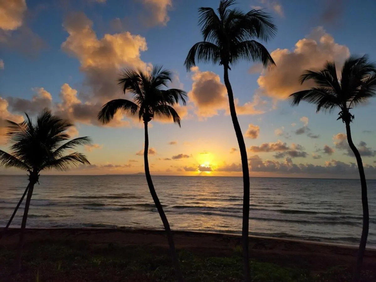 Bv103 - Amazing Oceanfront Condo Steps From Beach Humacao Διαμέρισμα